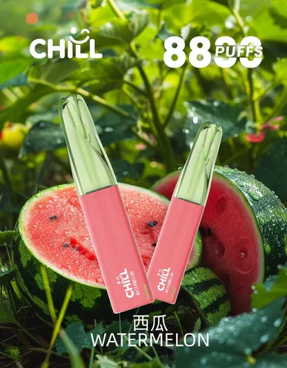 001-01.webp CHILL 鴨嘴獸 8800口拋棄式電子煙|12W強勁輸出爆發口感,多款熱銷口味