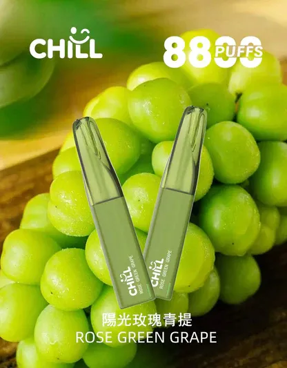 001-06.webp CHILL 鴨嘴獸 8800口拋棄式電子煙|12W強勁輸出爆發口感,多款熱銷口味