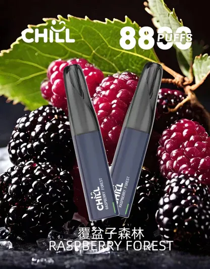 001-13.webp CHILL 鴨嘴獸 8800口拋棄式電子煙|12W強勁輸出爆發口感,多款熱銷口味