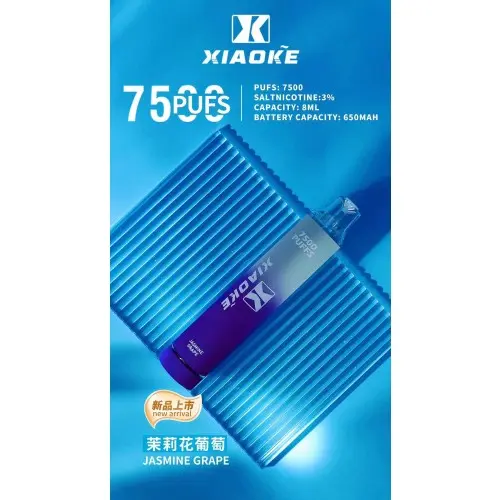 XIAOKE 梟客 7500口拋棄式電子煙｜網狀霧化核心，8ml 大容量多口味現貨供應