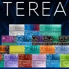 IQOS TEREA 日版 加熱菸彈 20支裝｜日本原裝 ILUMA 專用，電感金屬芯免清理不斷片