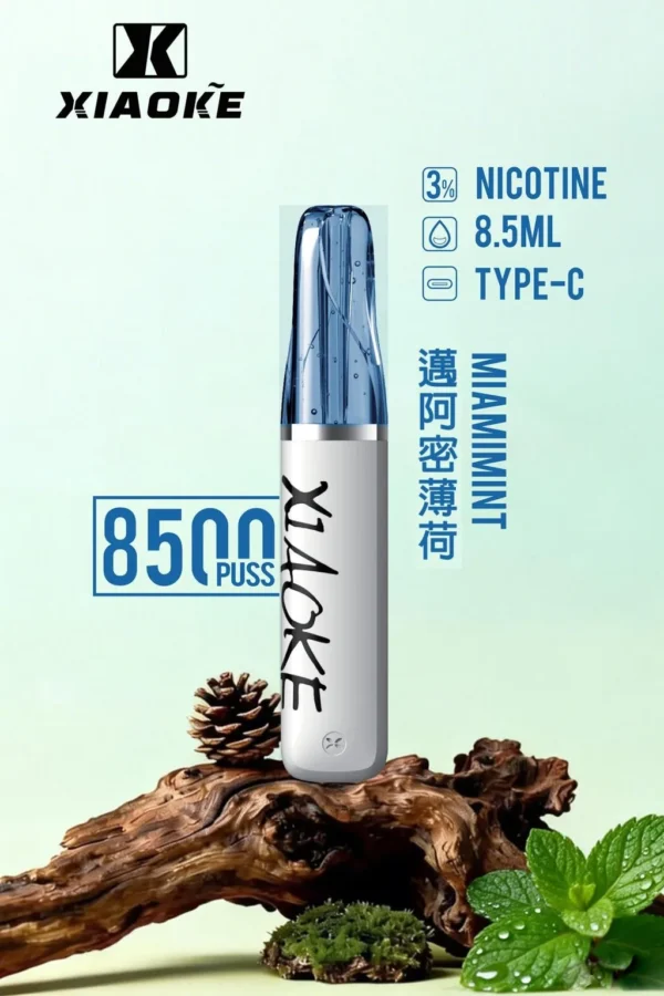 XIAOKE 梟客 8500口拋棄式電子煙｜8.5ml 儲油量，支援 Type-C 充電