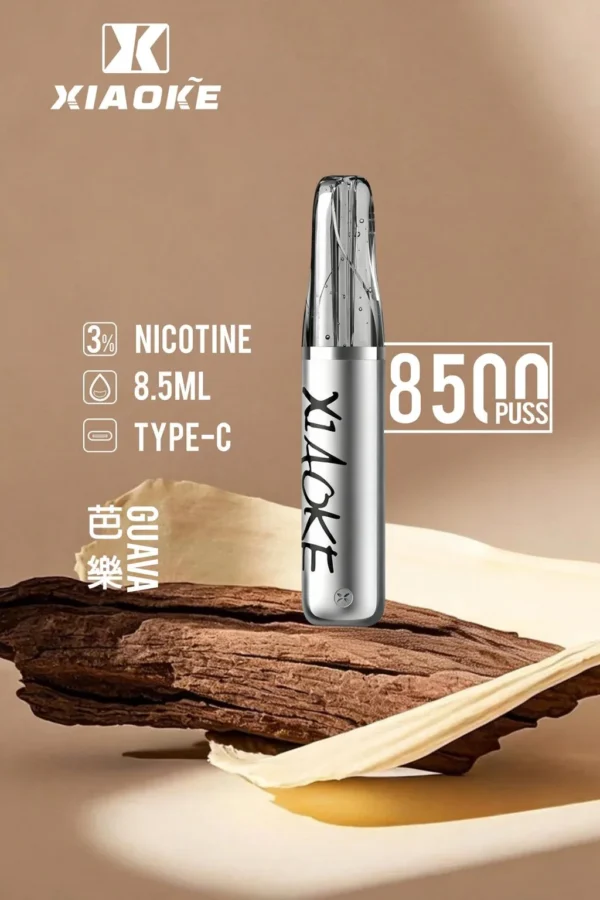 XIAOKE 梟客 8500口拋棄式電子煙｜8.5ml 儲油量，支援 Type-C 充電