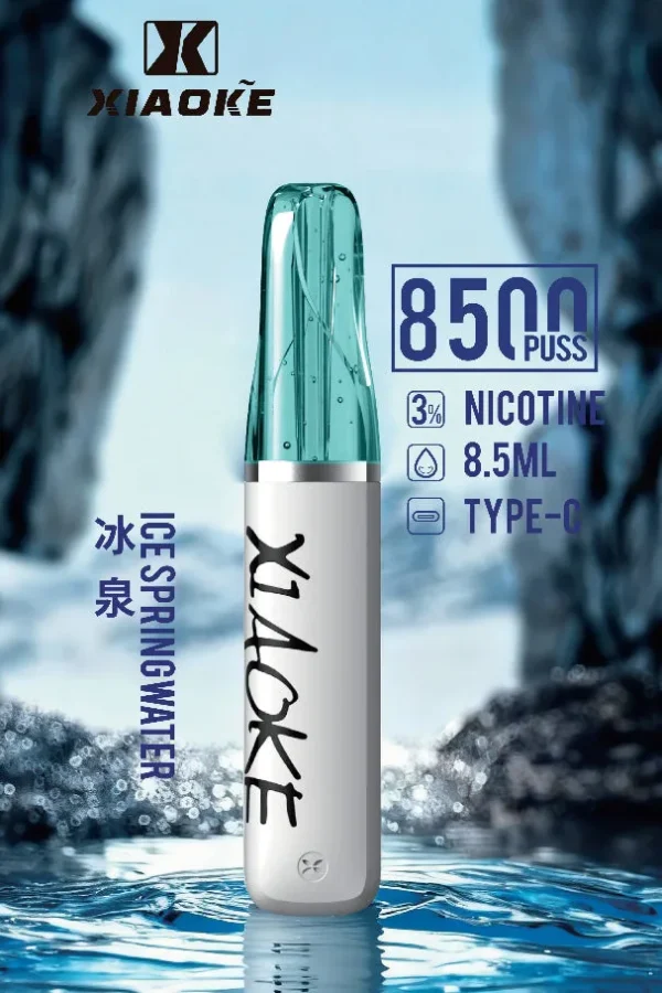 XIAOKE 梟客 8500口拋棄式電子煙｜8.5ml 儲油量，支援 Type-C 充電