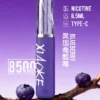 XIAOKE 梟客 8500口拋棄式電子煙｜8.5ml 儲油量，支援 Type-C 充電