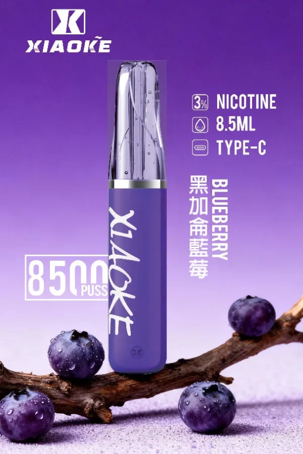 XIAOKE 梟客 8500口拋棄式電子煙｜8.5ml 儲油量，支援 Type-C 充電