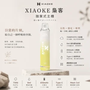 ChatGPT-Image-2026年8月25日-下午10_13_07.webp XIAOKE 梟客 7500口拋棄式電子煙|網狀霧化核心,8ml 大容量多口味現貨供應