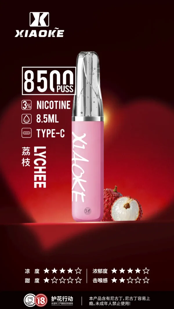 XIAOKE 梟客 8500口拋棄式電子煙｜8.5ml 儲油量，支援 Type-C 充電