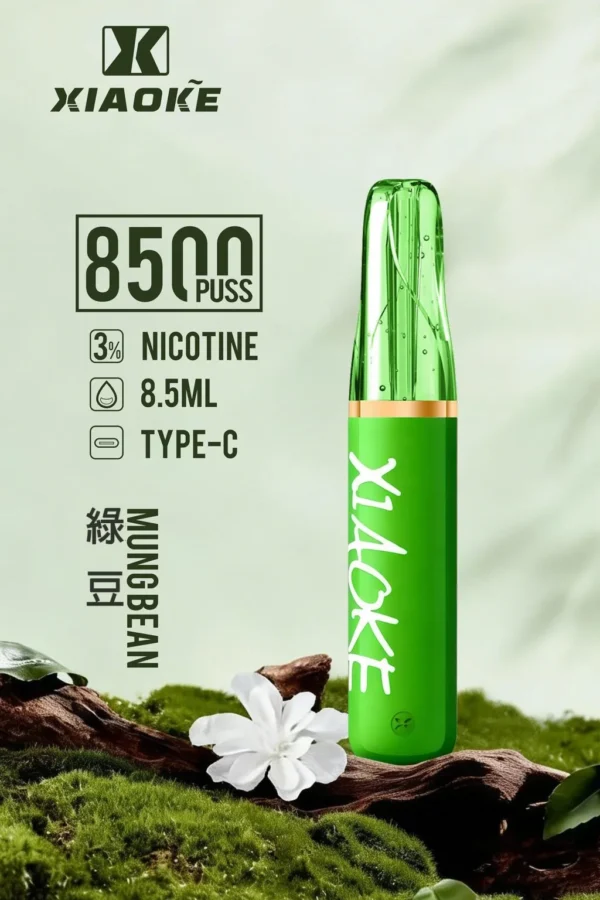 XIAOKE 梟客 8500口拋棄式電子煙｜8.5ml 儲油量，支援 Type-C 充電
