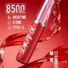 XIAOKE 梟客 8500口拋棄式電子煙｜8.5ml 儲油量，支援 Type-C 充電