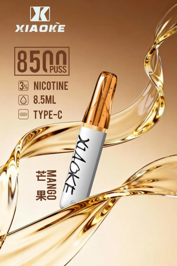 XIAOKE 梟客 8500口拋棄式電子煙｜8.5ml 儲油量，支援 Type-C 充電