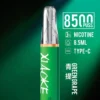 XIAOKE 梟客 8500口拋棄式電子煙｜8.5ml 儲油量，支援 Type-C 充電