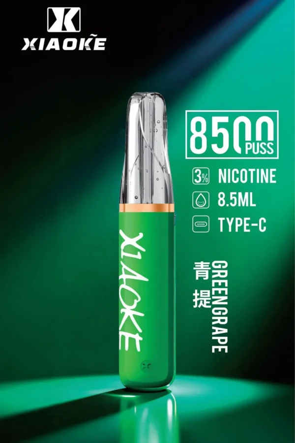 XIAOKE 梟客 8500口拋棄式電子煙｜8.5ml 儲油量，支援 Type-C 充電