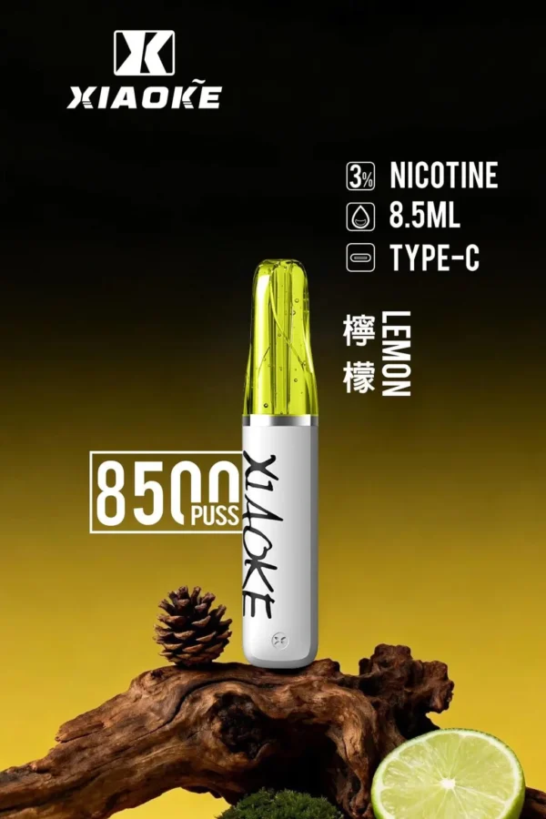 XIAOKE 梟客 8500口拋棄式電子煙｜8.5ml 儲油量，支援 Type-C 充電