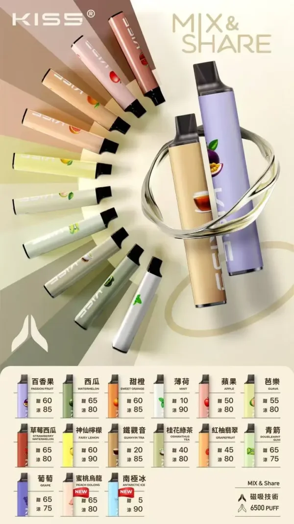 KIS5 鎧斯 6500口 拋棄式電子煙｜雙芯磁吸自由配＋升級不漏油結構，支援 Type-C 快充